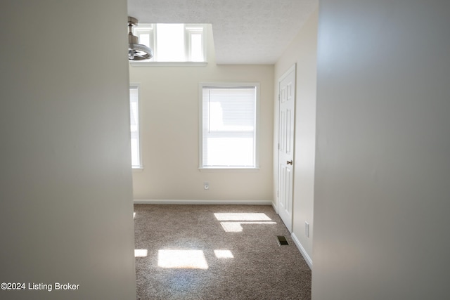 empty room featuring a textured ceiling and carpet