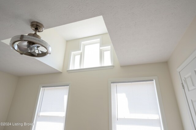 details with a textured ceiling