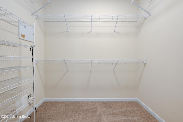 spacious closet with carpet