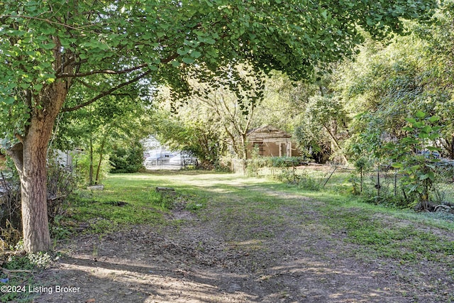 view of yard