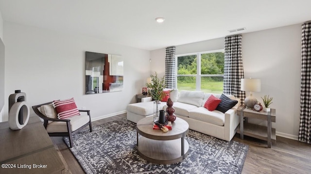 living room featuring hardwood / wood-style floors