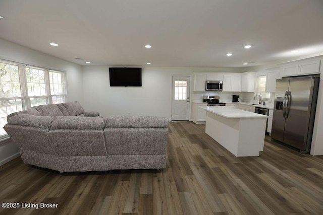 living room with sink and dark hardwood / wood-style floors