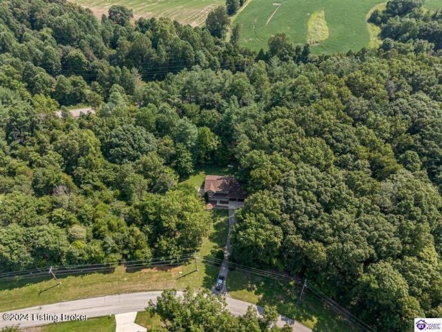 aerial view with a rural view