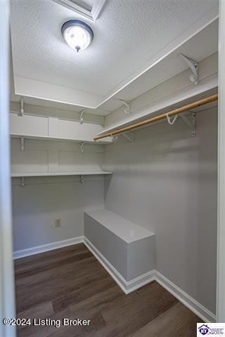 spacious closet with dark hardwood / wood-style floors