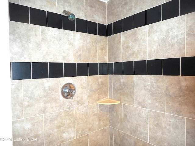 2608 Hickory Ridge Rd, Mount Eden, KY 40046 - details with a tile shower