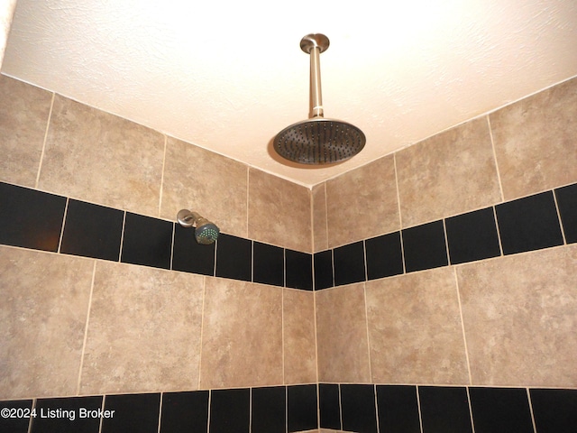 2608 Hickory Ridge Rd, Mount Eden, KY 40046 - interior details featuring a tile shower
