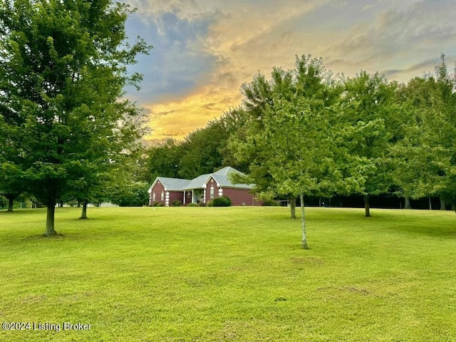 view of yard at dusk