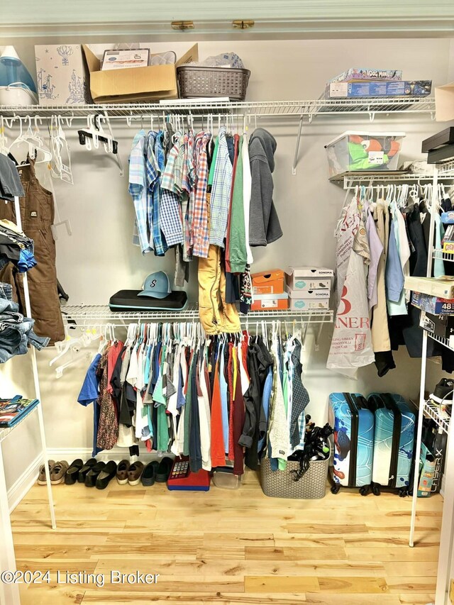 spacious closet featuring wood-type flooring