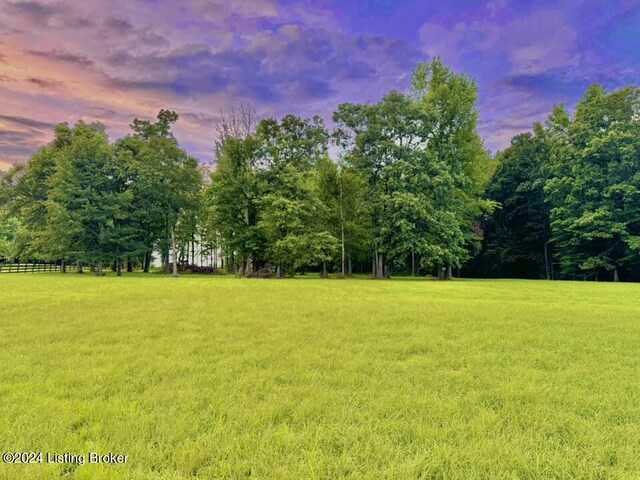 view of yard at dusk