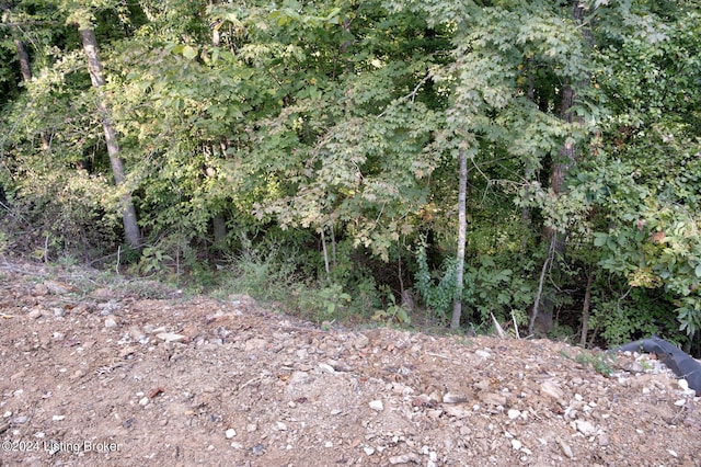view of local wilderness with a wooded view