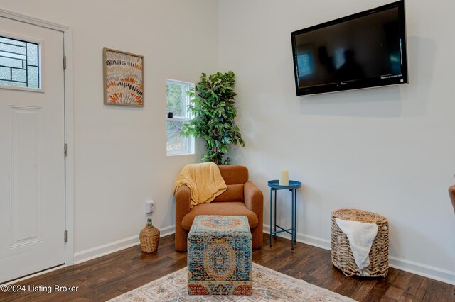 living area featuring dark wood-type flooring and plenty of natural light