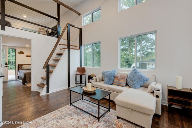 living room featuring wood-type flooring, a towering ceiling, and a wealth of natural light