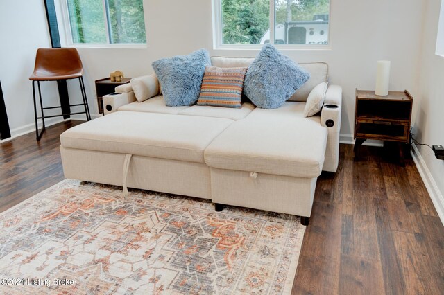 bedroom featuring multiple windows and hardwood / wood-style flooring