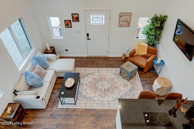 living room with dark hardwood / wood-style floors and a healthy amount of sunlight