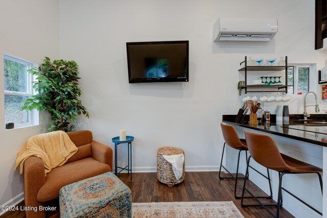 living area with an AC wall unit, dark wood-type flooring, and sink