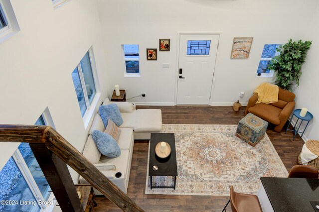 living room featuring wood-type flooring and a towering ceiling