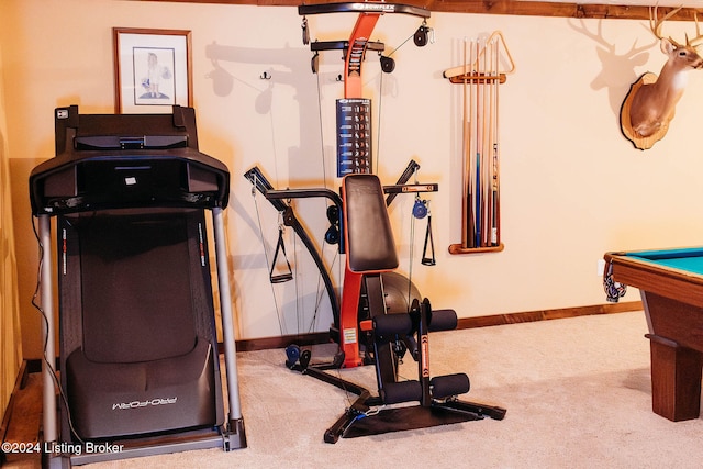 exercise area featuring carpet flooring