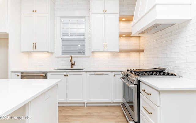 kitchen with premium range hood, sink, white cabinetry, tasteful backsplash, and appliances with stainless steel finishes