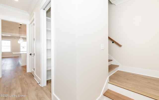 staircase featuring ornamental molding and wood-type flooring