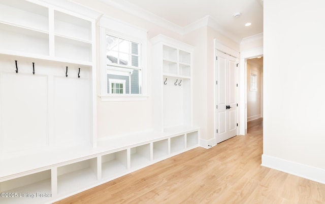 mudroom featuring crown molding and wood-type flooring