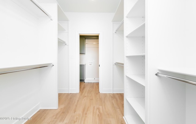 spacious closet featuring light wood-type flooring