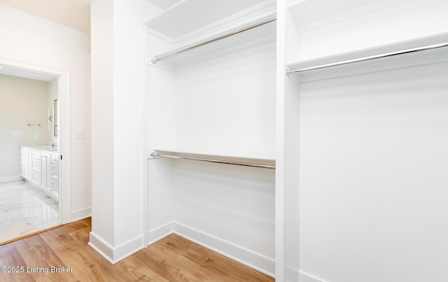 spacious closet with wood-type flooring