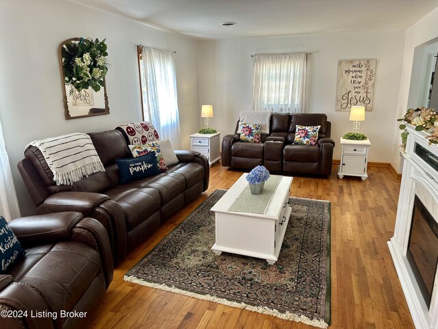 living room with hardwood / wood-style floors and plenty of natural light