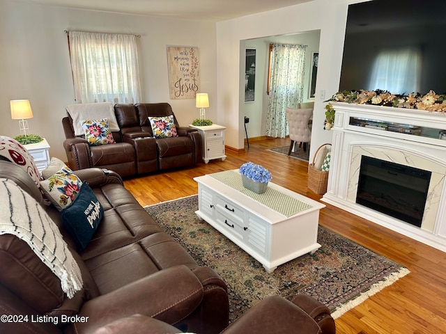 living room with a fireplace and hardwood / wood-style floors