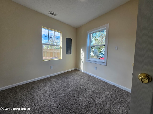 carpeted empty room featuring a textured ceiling, electric panel, and a wealth of natural light