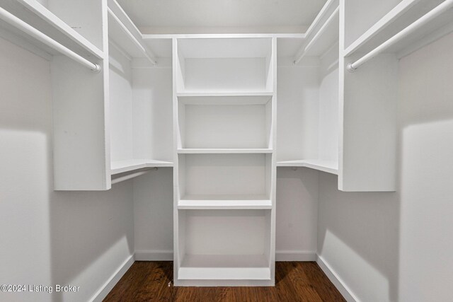 walk in closet featuring dark hardwood / wood-style flooring