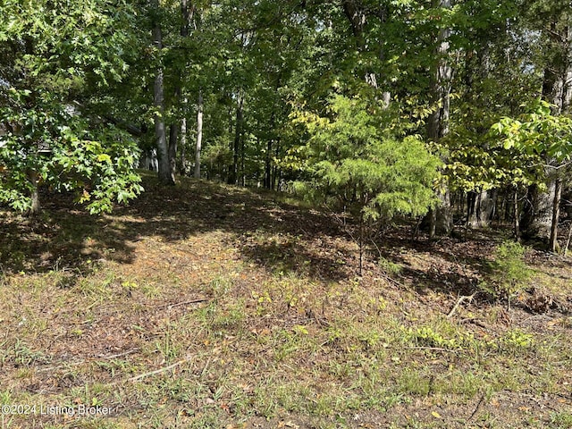 0 Pine View Ct, Brandenburg KY, 40108 land for sale