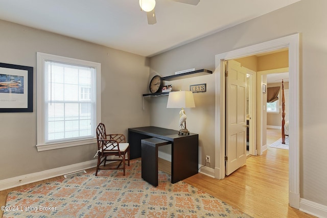 office featuring ceiling fan and light hardwood / wood-style flooring