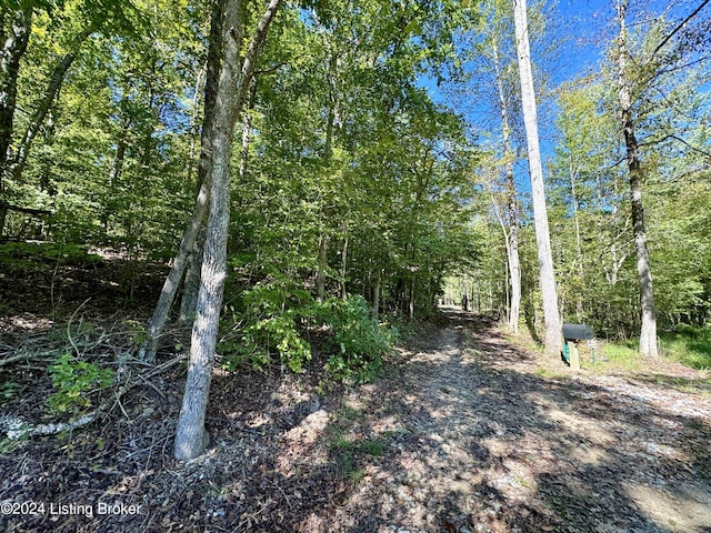 2346 Sulphur Lick Rd, New Hope, KY 40052 - photo 1