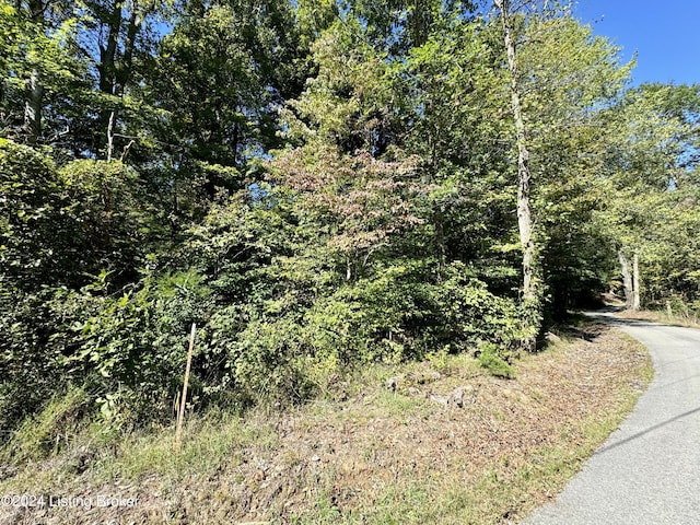 2346 Sulphur Lick Rd, New Hope, KY 40052 - photo 2