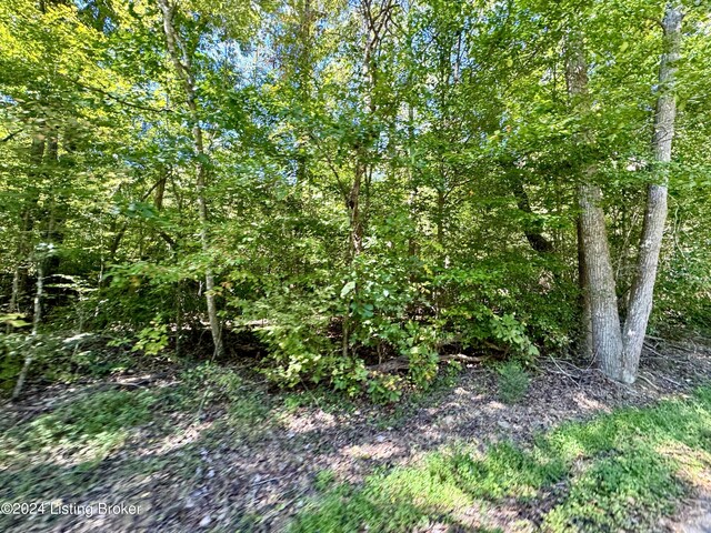 2346 Sulphur Lick Rd, New Hope, KY 40052 - photo 3