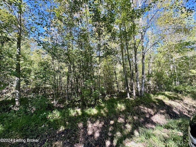 2346 Sulphur Lick Rd, New Hope, KY 40052 - photo 4