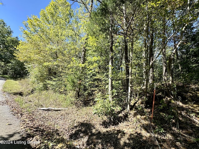 2346 Sulphur Lick Rd, New Hope, KY 40052 - photo 5