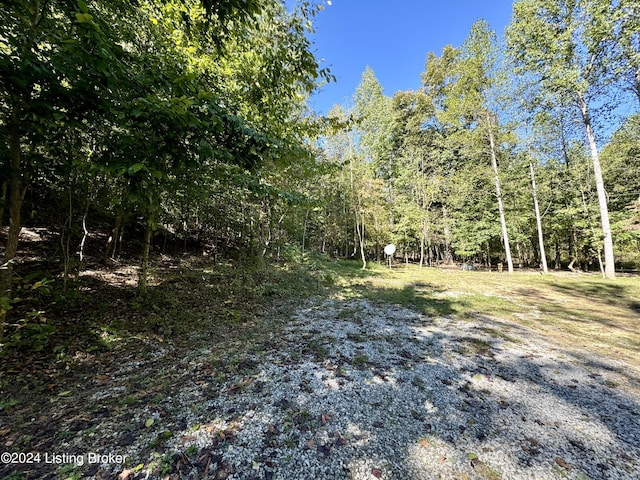 2346 Sulphur Lick Rd, New Hope, KY 40052 - photo 7