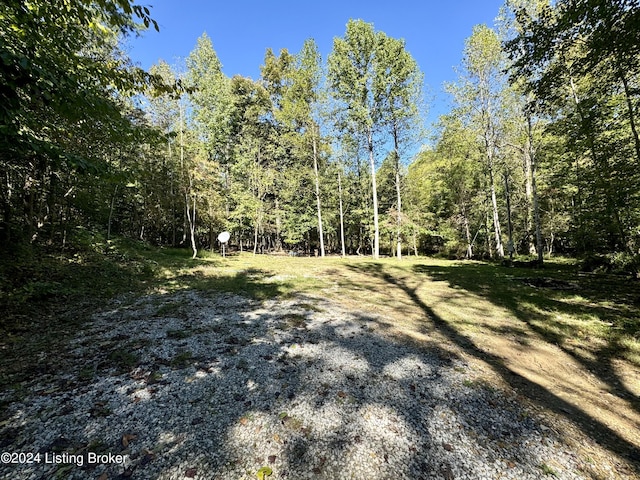 2346 Sulphur Lick Rd, New Hope, KY 40052 - photo 8