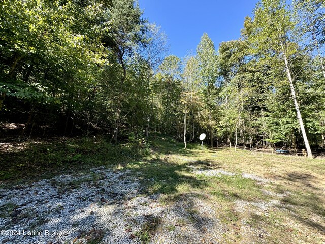2346 Sulphur Lick Rd, New Hope, KY 40052 - photo 9