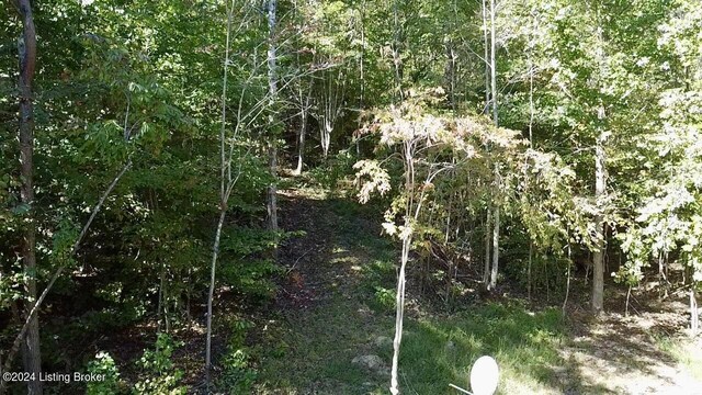 2346 Sulphur Lick Rd, New Hope, KY 40052 - photo 12