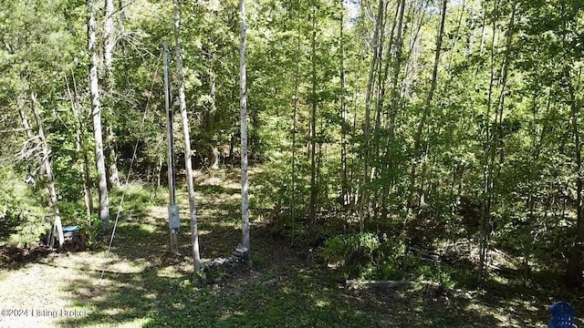 2346 Sulphur Lick Rd, New Hope, KY 40052 - photo 16
