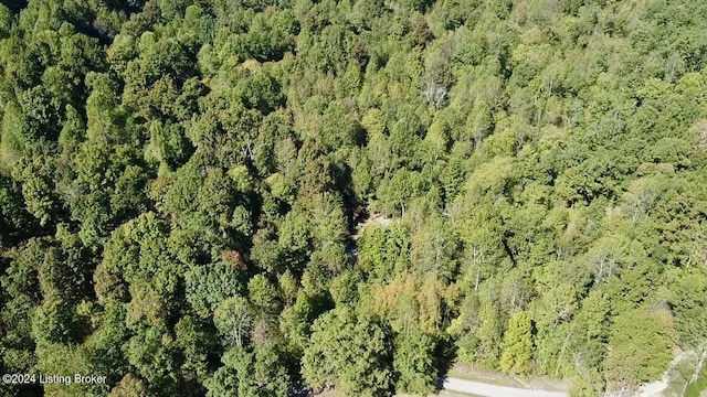 2346 Sulphur Lick Rd, New Hope, KY 40052 - photo 25