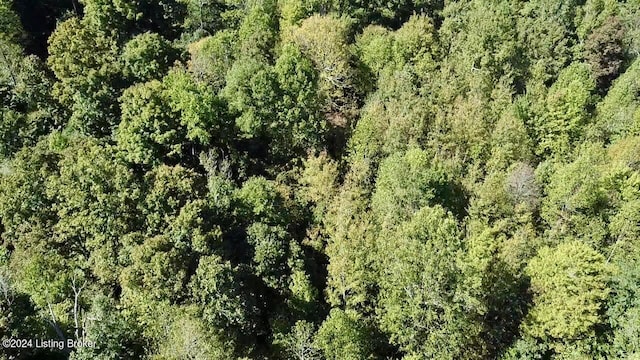 2346 Sulphur Lick Rd, New Hope, KY 40052 - photo 27