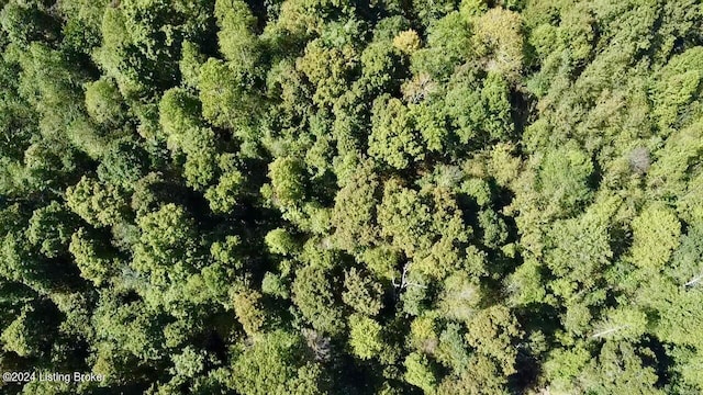 2346 Sulphur Lick Rd, New Hope, KY 40052 - photo 28