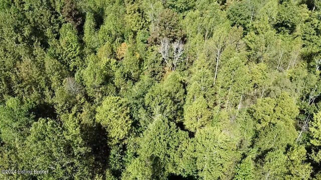 2346 Sulphur Lick Rd, New Hope, KY 40052 - photo 29