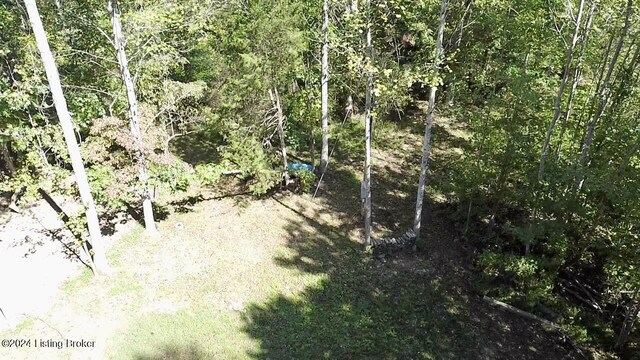 2346 Sulphur Lick Rd, New Hope, KY 40052 - photo 30