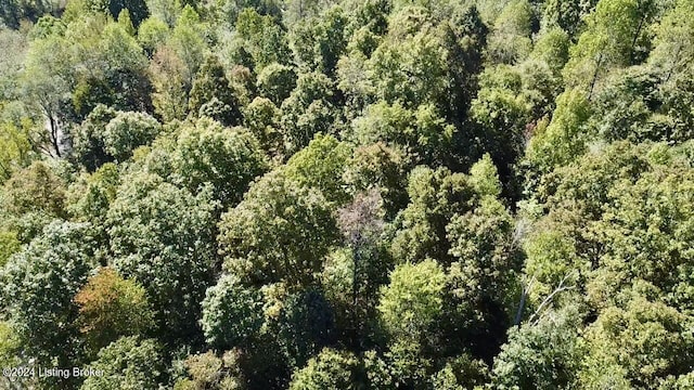 2346 Sulphur Lick Rd, New Hope, KY 40052 - photo 32