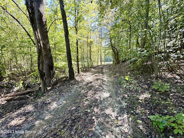 2346 Sulphur Lick Rd, New Hope, KY 40052 - photo 35