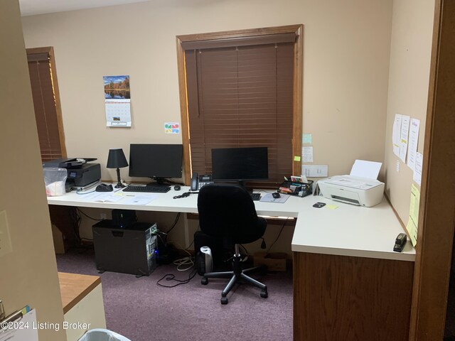 office featuring carpet floors